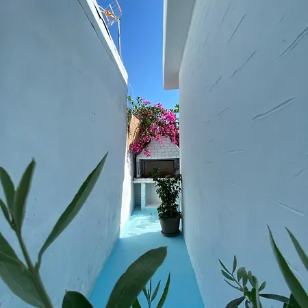 Beautiful House In The Capital Of Apartment *